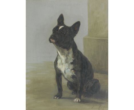 Maud Earl (British, 1863-1943) A French Bulldog signed and dated 'Maud Earl/1900' (lower right) oil on canvas 61 x 46cm (24 x