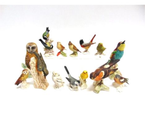 A COLLECTION OF FOURTEEN GOEBEL BIRD FIGURES,   all with matt finish, including Bee Eater, Barn Owl, Nuthatch, etc. 