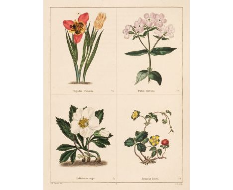 Maund (Benjamin). The Botanic Garden, vols. 1, 4 &amp; 5, London: Simpkin &amp; Marshall, 1825-35, additional engraved titles