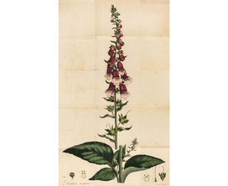 Withering (William). An Account of the Foxglove, and some of its Medical Uses: with Practical Remarks on Dropsy, and other Di