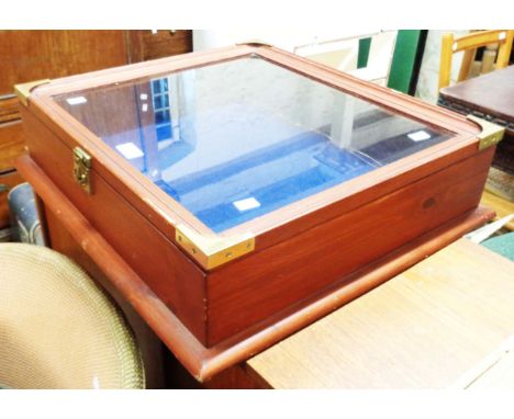 A 55cm vintage stained mixed wood lift-top display case with glazed panel lid and brass bound corners - made by S.A. Brewer