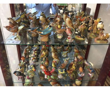* Royal Worcester. A large collection of porcelain birds, comprising Kingfisher (3235), Fledgling Wren, Yellow Hammer (3377),