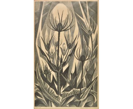 *Poole (Monica, 1921-2003). Teasels,  wood engraving on thin japan paper, signed, titled and numbered 4/50, mount-stained, im