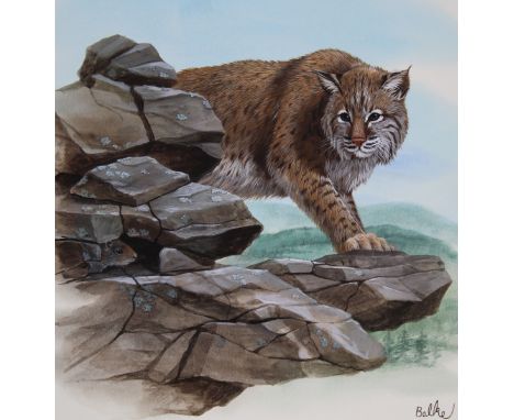 Don Balke (North Carolina, B. 1933) "Bobcat" Signed lower right. Original Watercolor painting on Illustration Board. Provenan