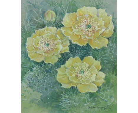 Gordon Beningfield (British, 1936 - 1998) "Prickly Pear" Signed lower right. Original Water Color painting on Water Color Pap