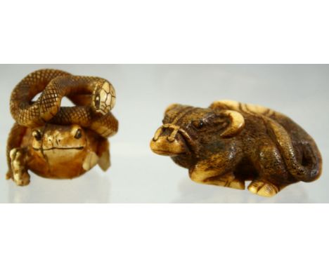 A JAPANESE CARVED AND STAINED IVORY NETSUKE of a water buffalo and another of a toad and snake, 5cm and 3cm long, (2).