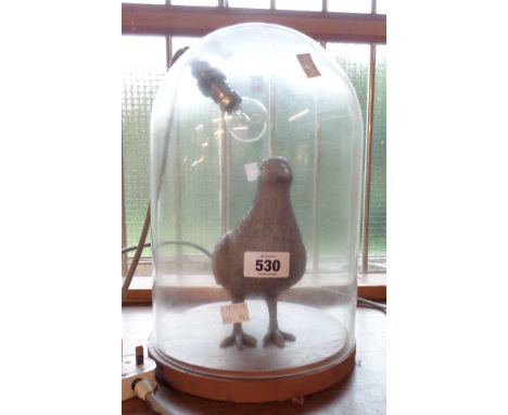 A bell glass dome light with pigeon figure inside