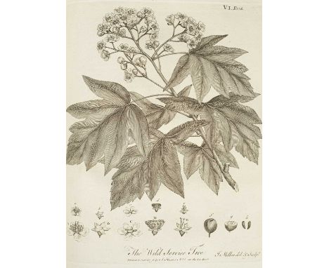 Evelyn (John) Sylva: or, a Discourse of Forest-Trees, York: A. Ward for J Dodsley, 1786, two volumes, 4to, contemporary calf,