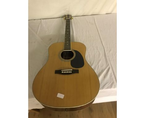 An acoustic guitar: 'C Giant'