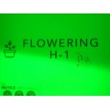 Flowering H-1; contents of grow room incl.: (14) single-tier ebb and flow growing benches (misc.