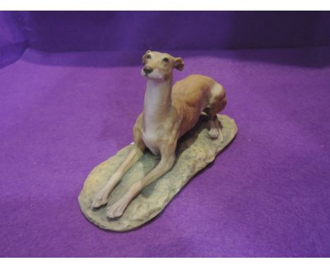 A Border Fine Arts study, Greyhound, lying, light brown, 064