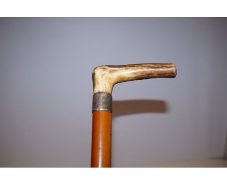 Horn handle silver rim walking stick