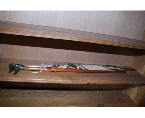 An umbrella with duck design handle and a walking stick