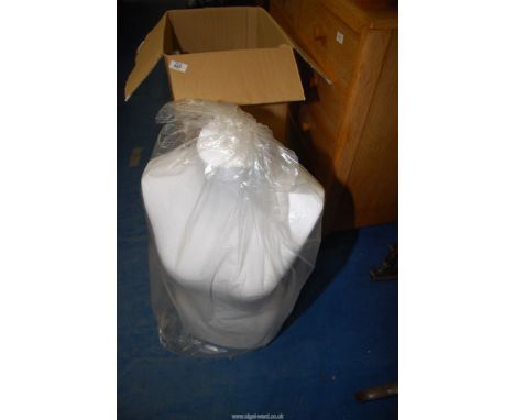 A mannequin on a stand boxed.