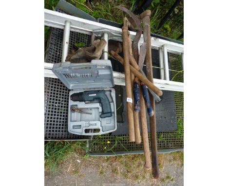 A collection of garden tools, to include: a hook,a hoes, edging shears, etc.