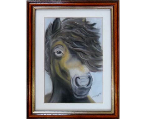 Pastel portrait of a horse by Grimsby artist Colin Wells 28 cm x 35 cm