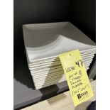 LOT: (18) VITREX assiettes (10.5'' x 10.5'')