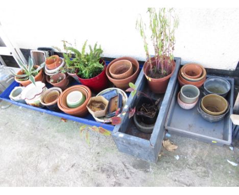 LARGE QUANTITY OF GARDEN AND HOUSEHOLD CERAMIC AND TERRACOTTA PLANT POTS, SOME WITH CONTENTS