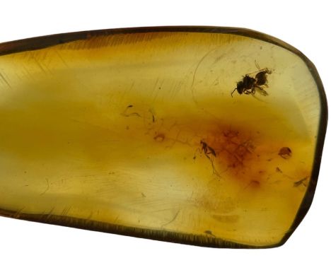 A PAIR OF FOSSIL BEES AND MOSQUITO IN AMBER,A pair of fossilised bees in amber. From the amber mines of Chiapas, Mexico. Mioc