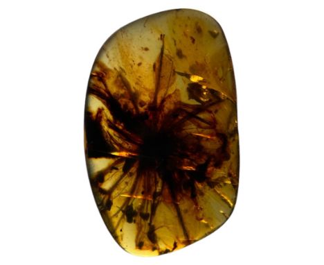 A RARE DANDELION FOSSIL IN AMBER, This piece of amber contains the head of a dandelion and exhibits wonderful detail. Very ra