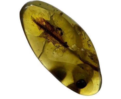 A VERY RARE DINOSAUR FEATHER FOSSIL IN BURMESE AMBER,An extremely scarce and large feather in dinosaur-aged amber with red co