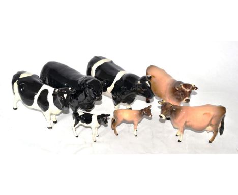 Beswick Cattle Comprising: Aberdeen Angus Bull, model No. 1562, black gloss,  Friesian Bull Ch. ''Coddington Hilt Bar'', mode