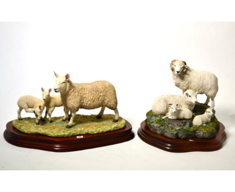 Border Fine Arts 'Shetland Sheep Family Group', model No. B0597A by Ray Ayres, limited edition 787/1250, on wood base, with b