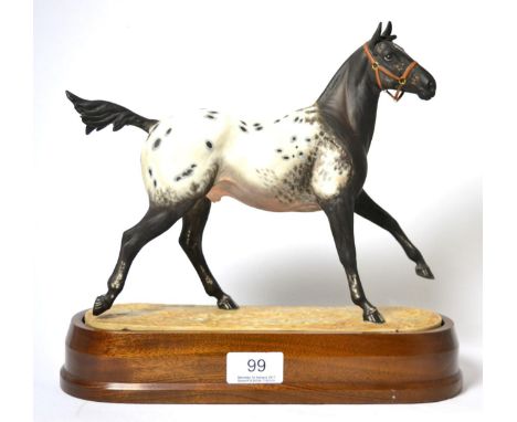 Royal Worcester Appaloosa ''Imboden's Driftwood Bob'', model No. RW3869 by Doris Lindner, limited edition of 500, on wooden p