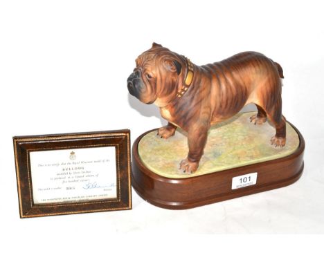 Royal Worcester Bulldog ''Mack'', model No. RW3822 by Doris Lindner, limited edition 385/500, on wooden plinth, with framed c