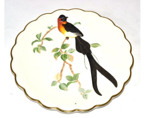 Royal Worcester The Birds of Dorothy Doughty, limited edition collectors plates (10)