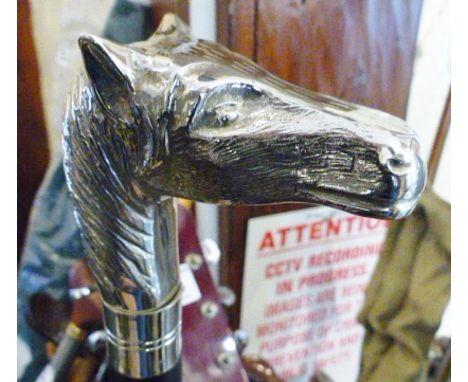 WALKING STICK. Horse head walking stick