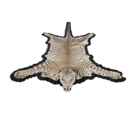 A LEOPARDSKIN RUG, Van Ingen & Van Ingen, Mysore India, with black felt backing. 240cm long, 156cm wide 
