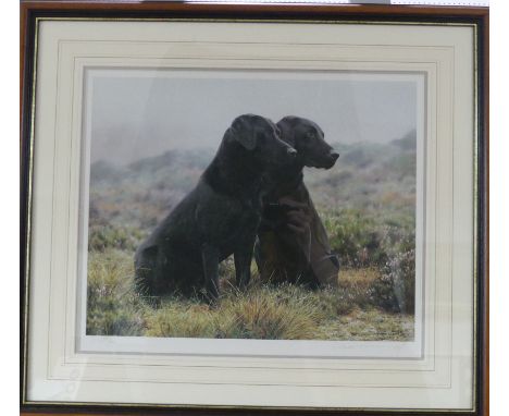 Steven Townsend, British 20thC, Black Labradors signed print, limited edition (231/675) with certificate, 17in (43cm) x 19½in