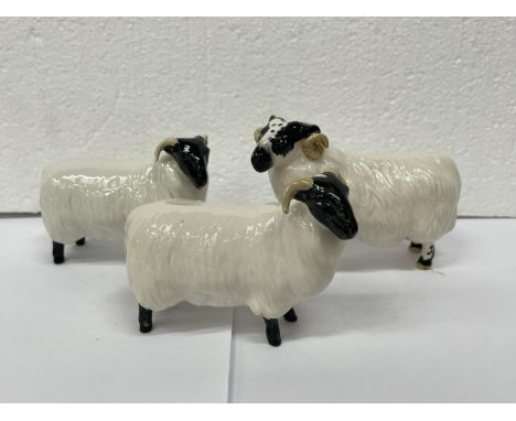 THREE BESWICK SCOTCH BLACKFACE SHEEP TO INCLUDE A RAM AND TWO EWES (ONE EWE HORN A/F) 