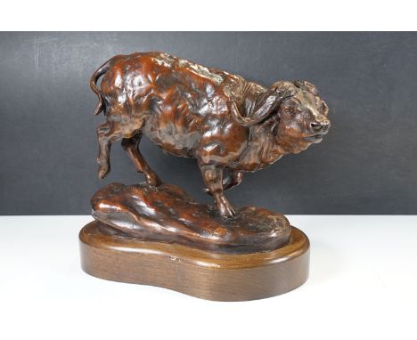 A bronze model of a cape buffalo by CD, limited edition no: 2/12, dated 2012h: 25cmw:26cm