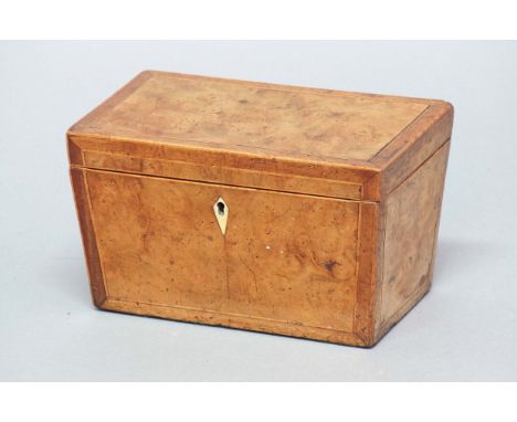 GEORGE IV BURR MAPLE TEA CADDY, of slightly tapering form with twin interior but lacking canisters, height 13cm, width 22cm, 