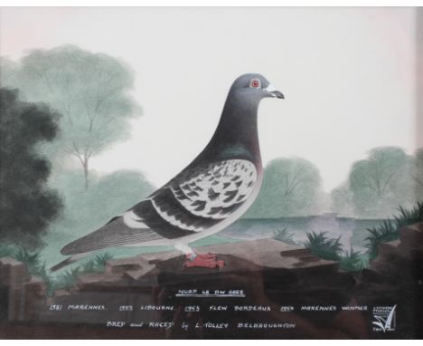 Leighton Studios, Portrait of a Racing Pigeon Nurp. 48 BW 6888, with breeding and racing details, watercolour, inscribed to l