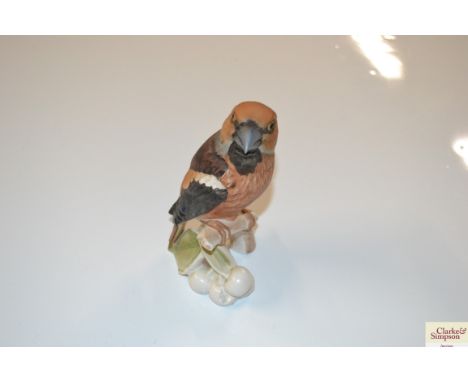 A Goebel porcelain Hawk Finch figure
