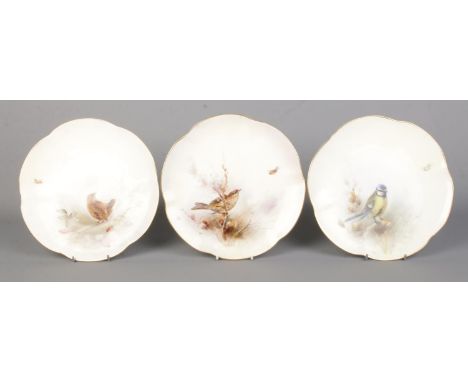 James Stinton for Royal Worcester, three porcelain plates with hand painted scenes depicting birds in landscape. Includes Wre