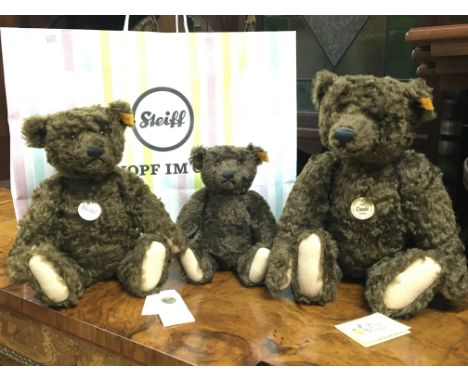 A set of Steiff family Teddy bears in Steiff bag