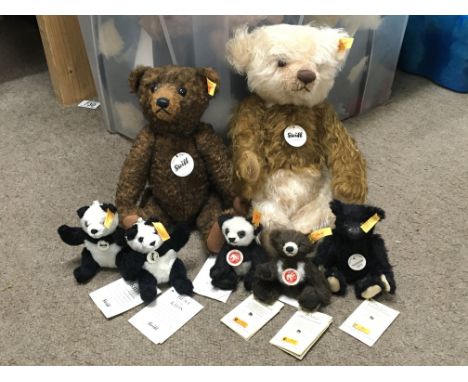 A collection of Steiff bears including one called Brownie, three small pandas, a small black bear and a small brown bear