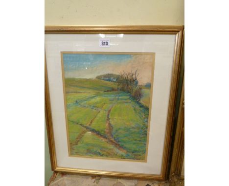 Pastel - March Evening Light, Beechy Ride - J Warden 