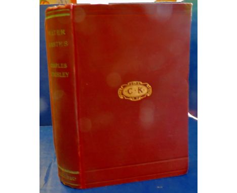 Kingsley's "The Water Babies"  First published 1863.  1913 copy in good condition with 100 illustrations by Linley Sambourne.