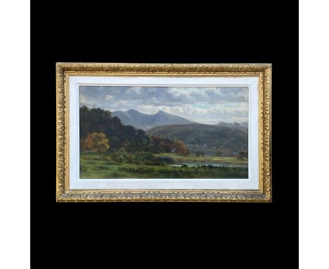 Forster, Thomas Burton Watkin (1821 - 1887)"Bewaldete Landschaft"; im Hintergrund Gebirge; ÖL/LW/Karton; rechts unten monogr.
