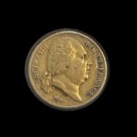 Goldmünze Louis XVIII