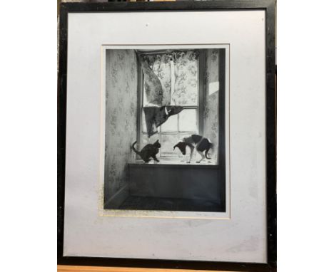 Ander GUNNSarah and Pearl Photograph Signed, dated '82 and inscribedNumbered 1/1539 x29cmThis very personal collection of pic