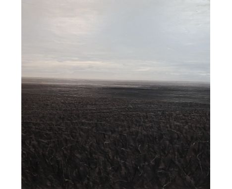 § § Hilary Dymond (British, b.1953) Open landscapeoil on canvassigned verso and dated 1996152 x 152cm***CONDITION REPORT***Oi