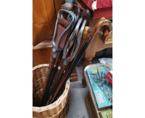 A cane stick stand with shooting sticks and novelty walking sticks 