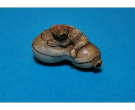 A Meiji period netsuke depicting a badger reclining on a large gourd, character signature to base 