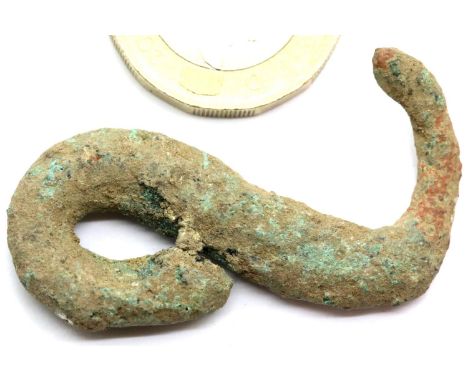 Tudor Zoomorphic Snake Belt Buckle. P&amp;P Group 1 (£14+VAT for the first lot and £1+VAT for subsequent lots) 